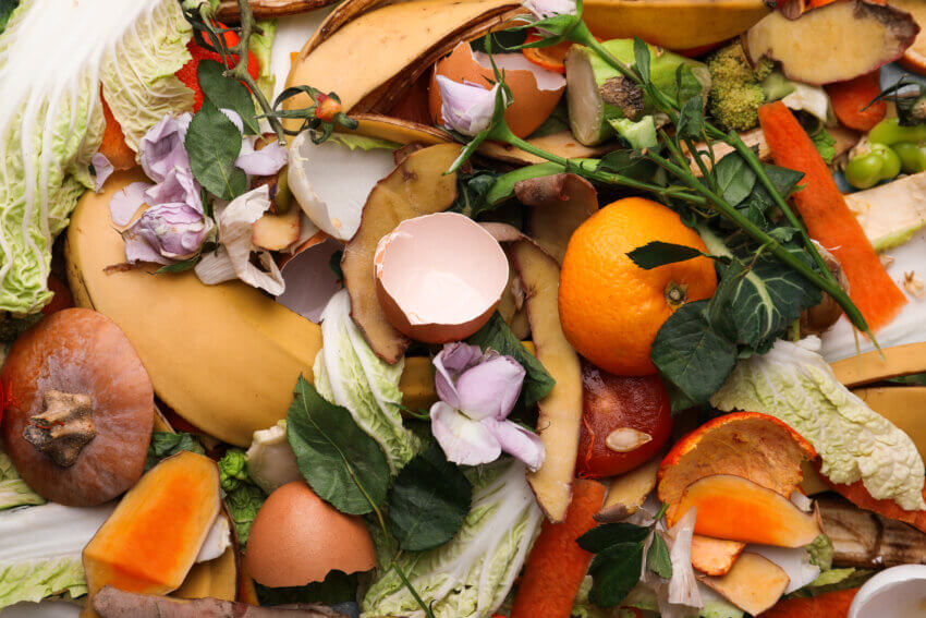Pile of food waste