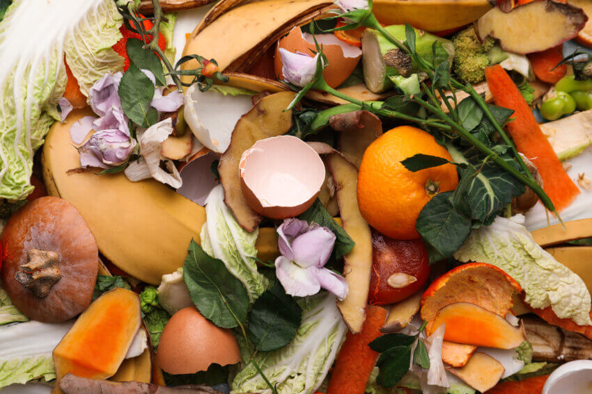 Pile of food waste