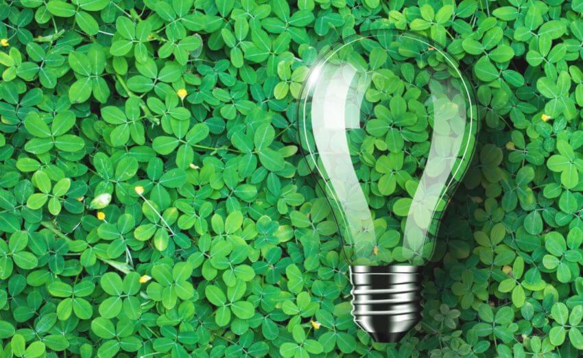 Lightbulb against background of green leaves