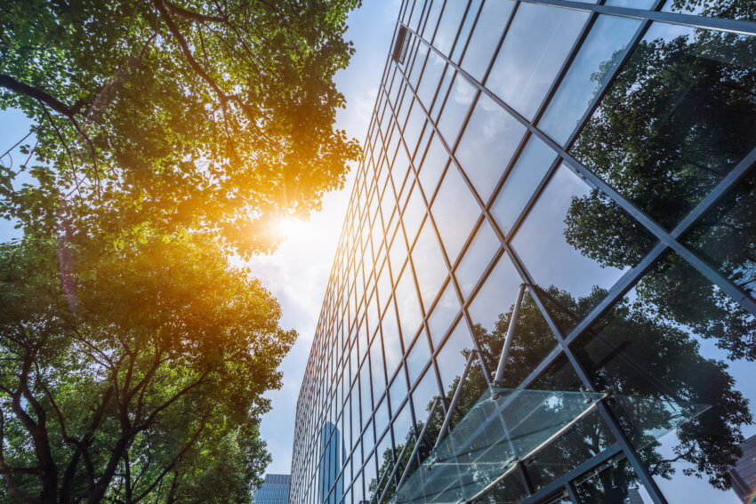 Looking up at a glass modern office building, with sunlight coming through green leaves of a nearby tree