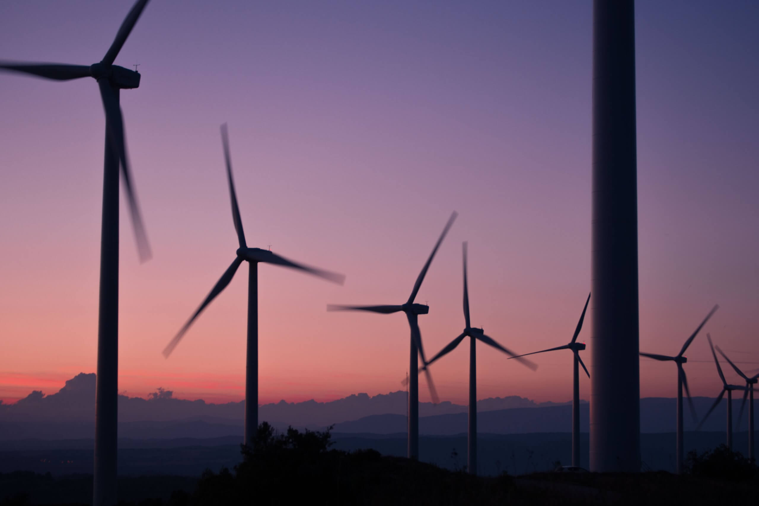 Wind turbines in a field during sunset