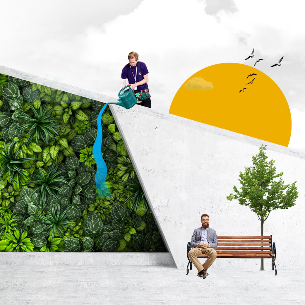 A Mitie employee waters a green living wall, with a yellow sun behind