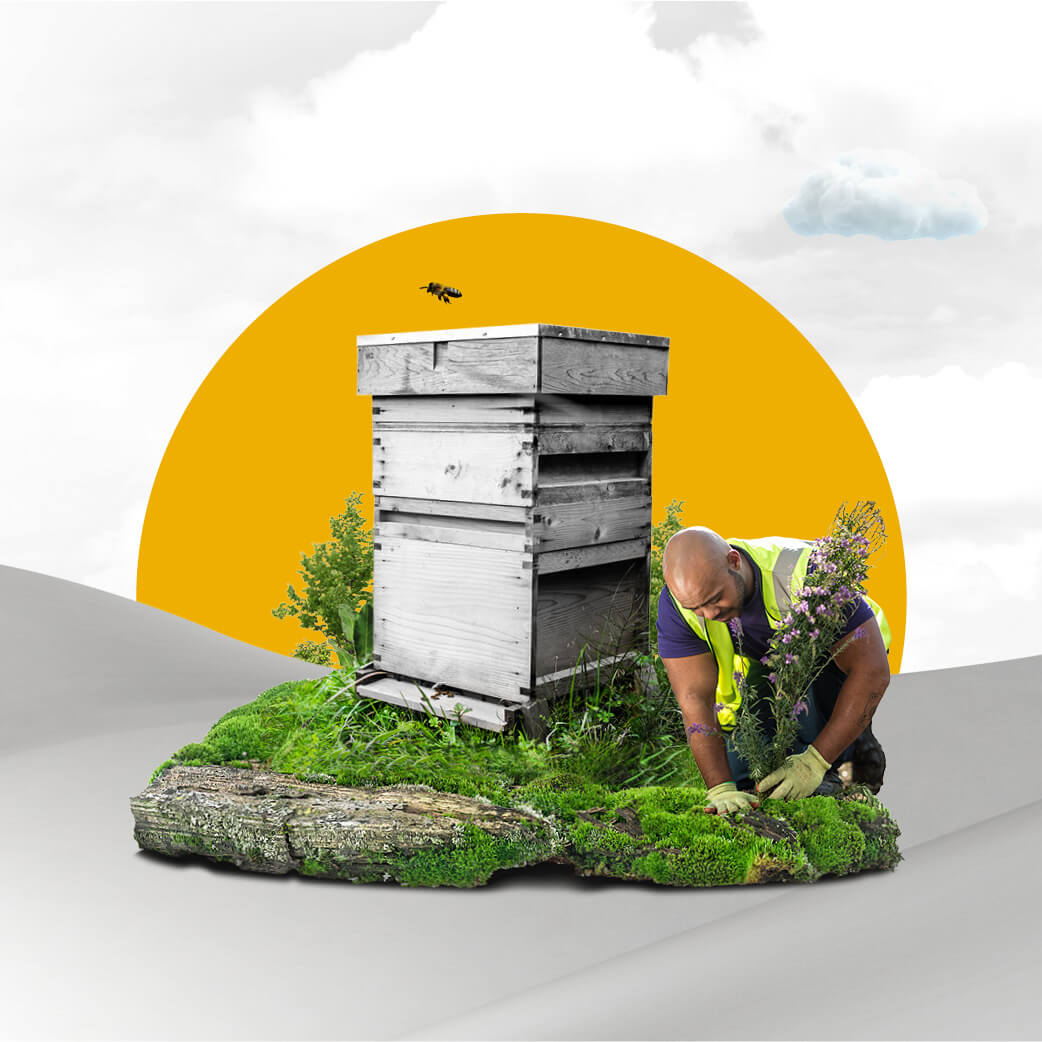 Mitie employee tending a garden next to a beehive, with a yellow sun behind