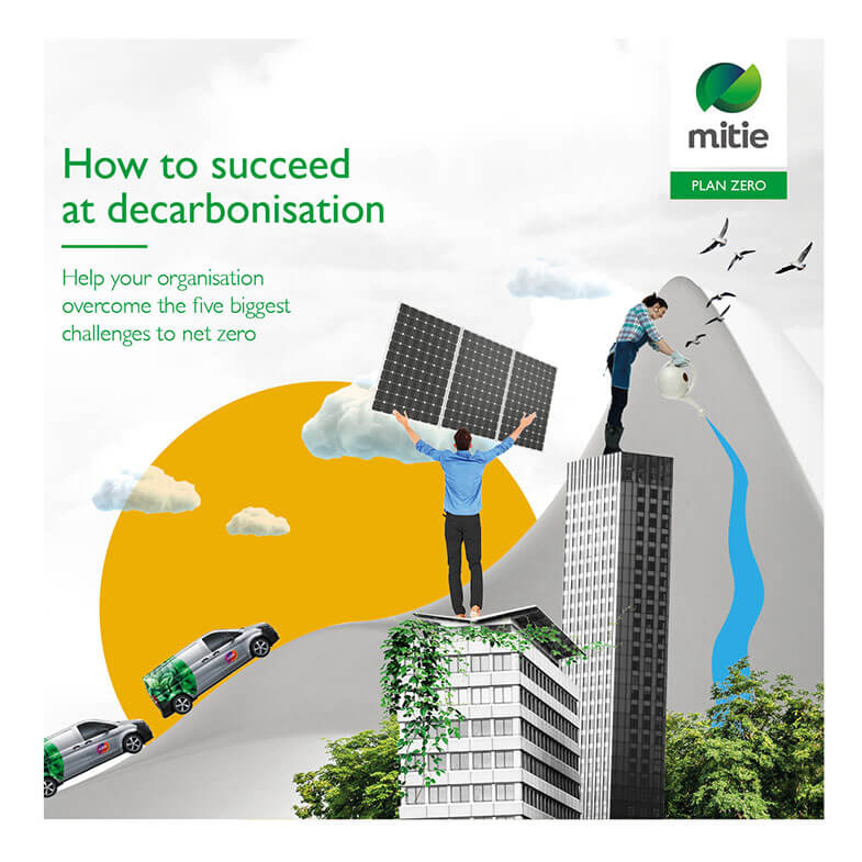 How to Succeed at Decarbonisation eBook front cover