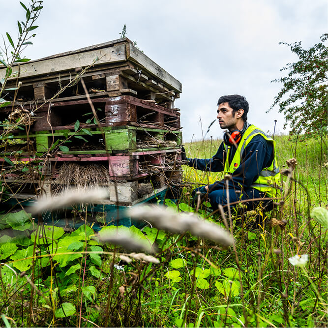 A Mitie employee in a meadow, wearing a high vis jacket, crouching next to a stack of old wooden pallets being turned into a wildlife environment