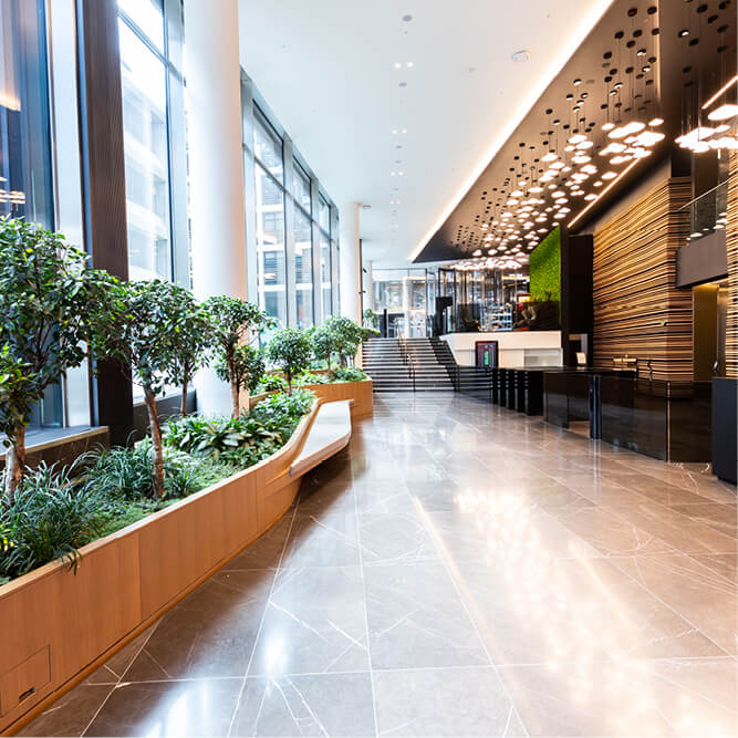 Empty modern office space, filled with light and green plants