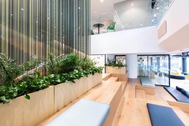Empty modern office space in white and light-coloured wood, with green plants