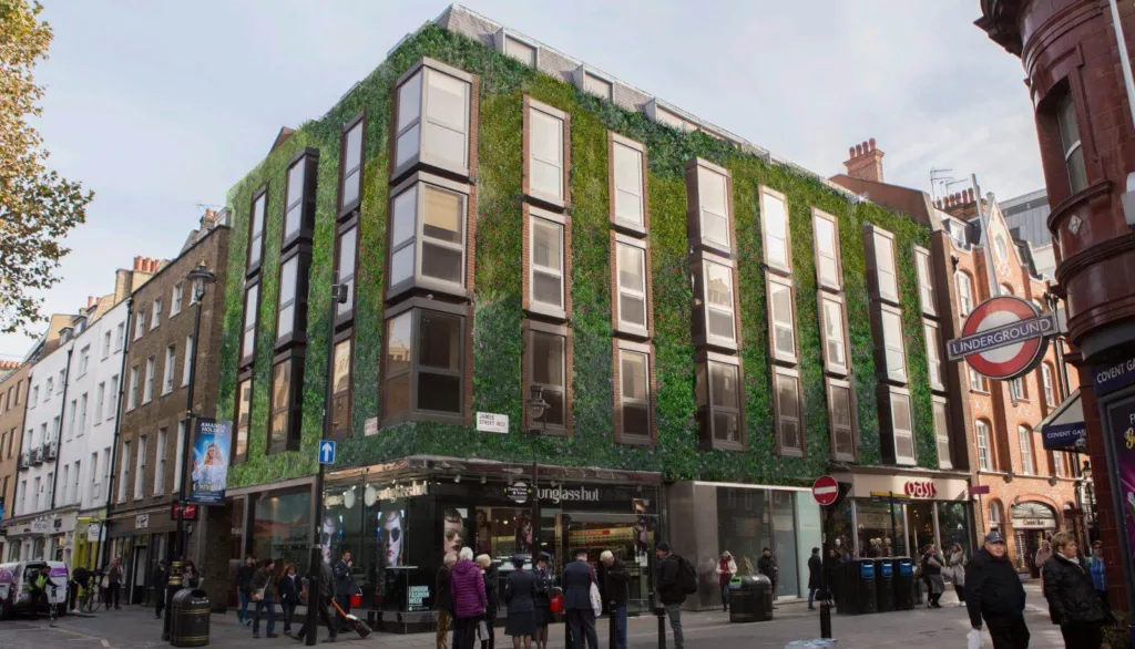Living wall on a building in London's Covent Garden