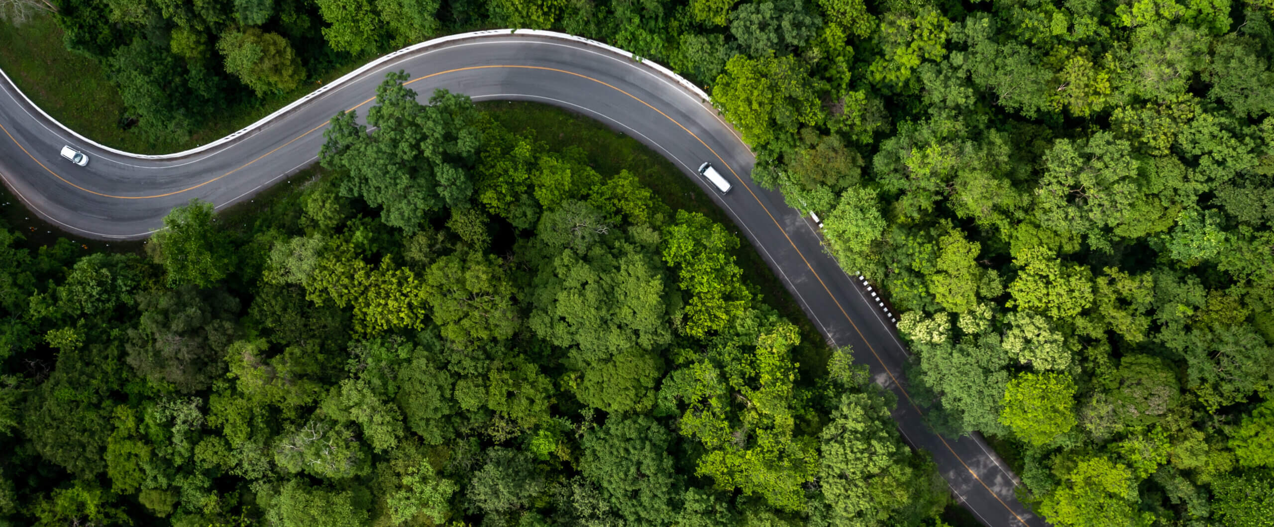 Bird's eye view of cars driving on a bendy road through a surrounding green forest of trees