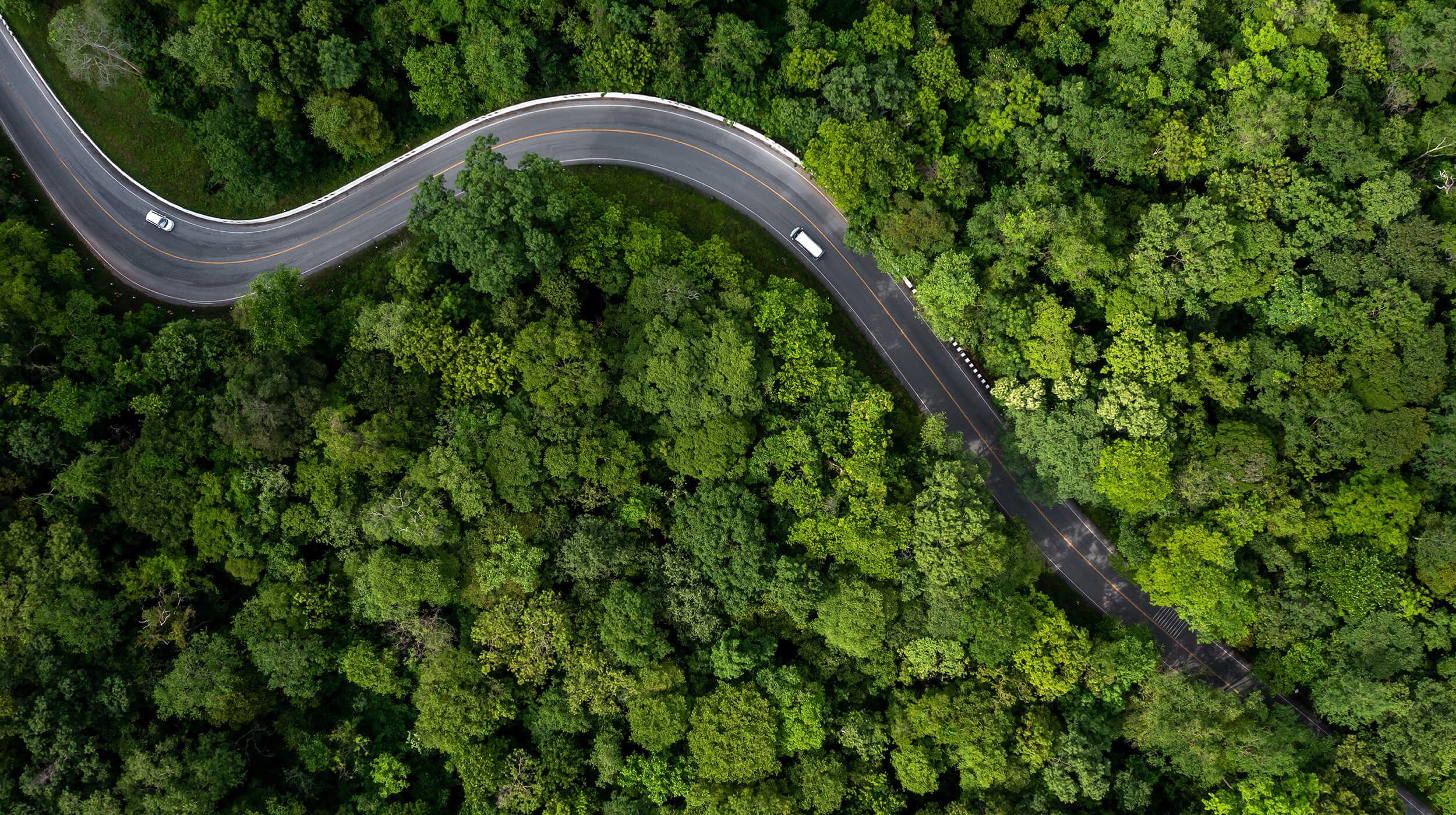 Bird's eye view of cars driving on a bendy road through a surrounding green forest of trees