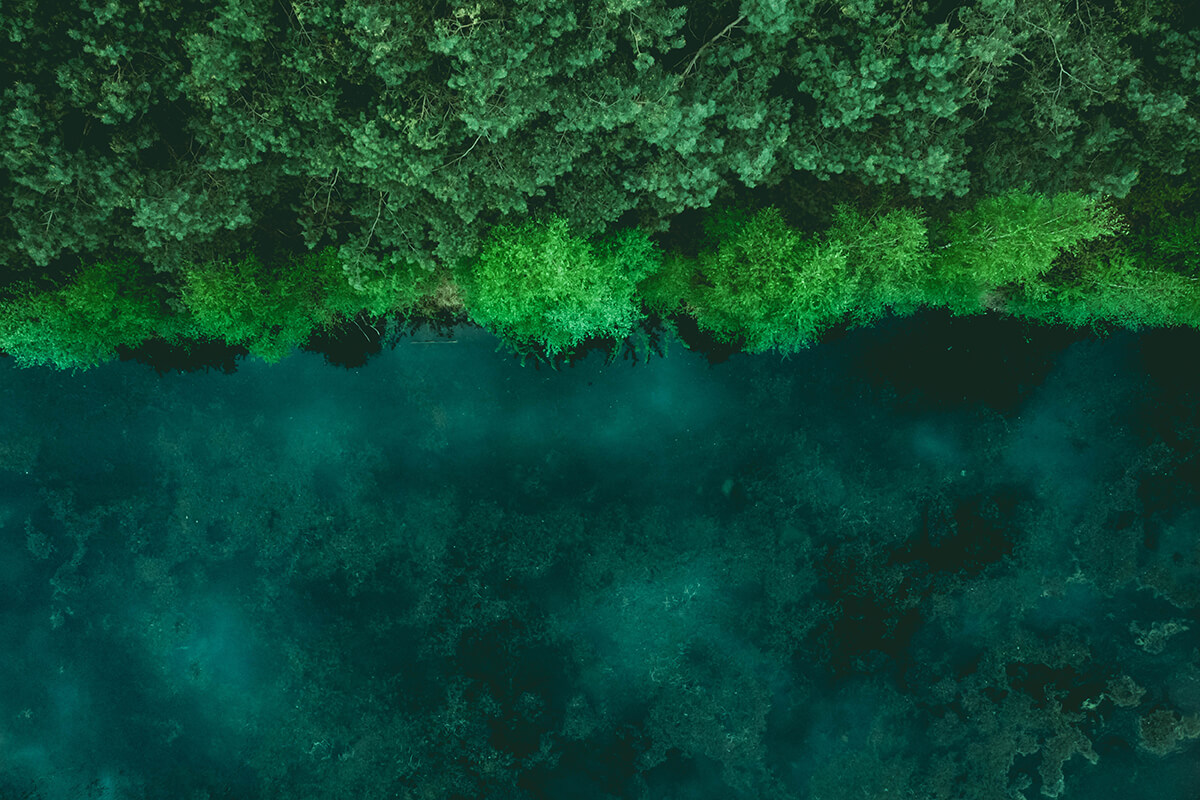 Bird's eye view of a dark green river with lighter green treetops on the bank. Shown horizontally with the river on the bottom half of the image and trees on the top half