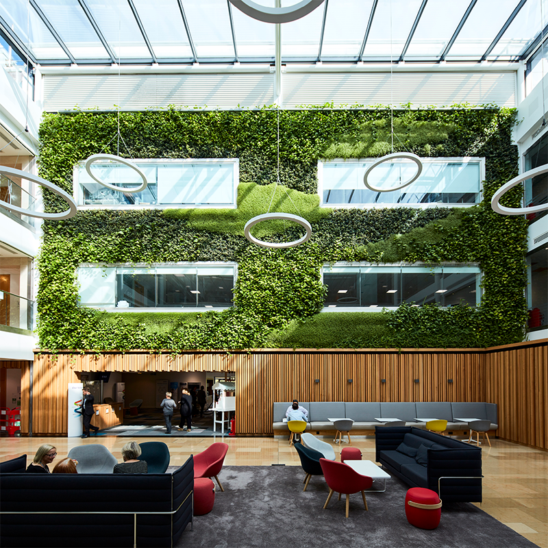 A modern office space with a green living wall in a communal area