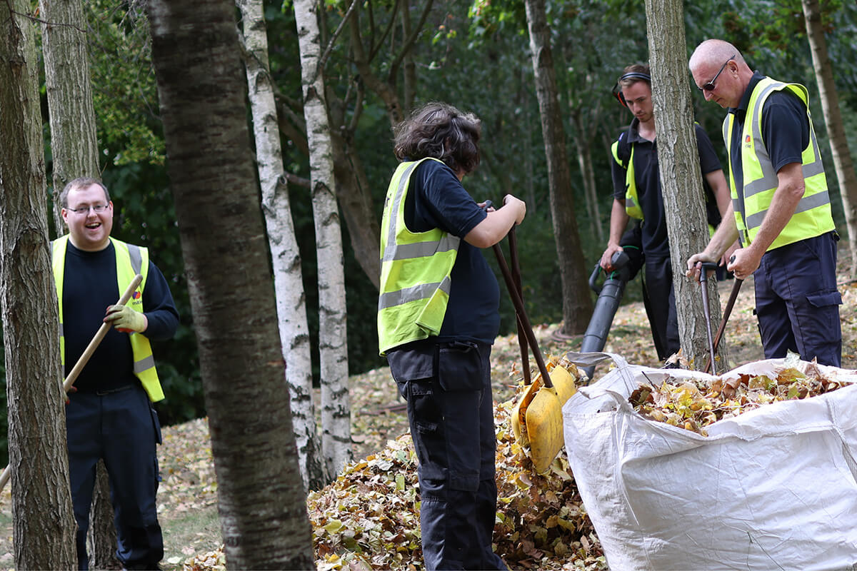 Mitie colleagues volunteering in a forest