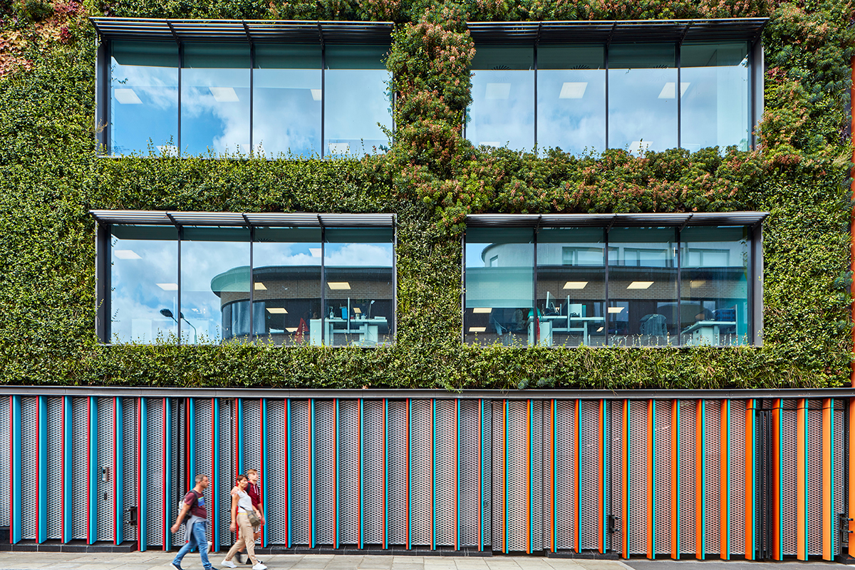 A living external green wall on an office