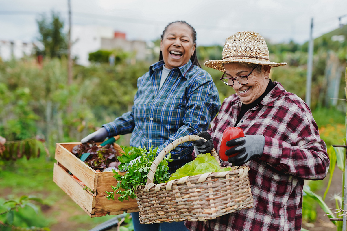 Two women laughing as they garden