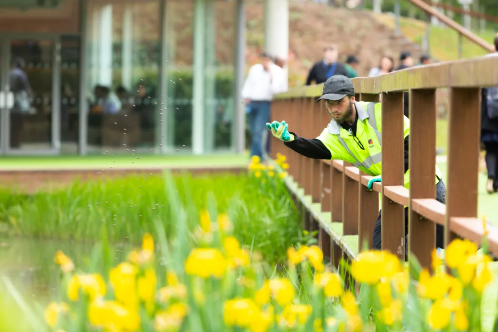 Mitie employee scattering wildflower seeds