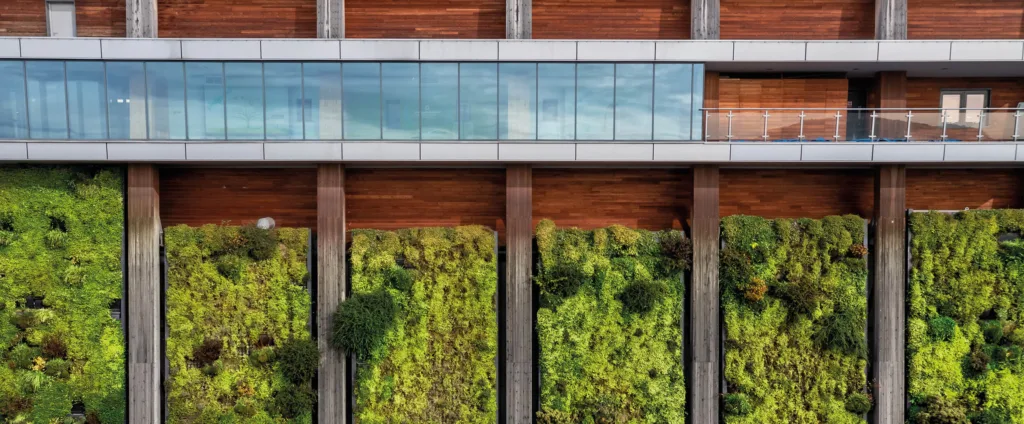Green living wall on a building