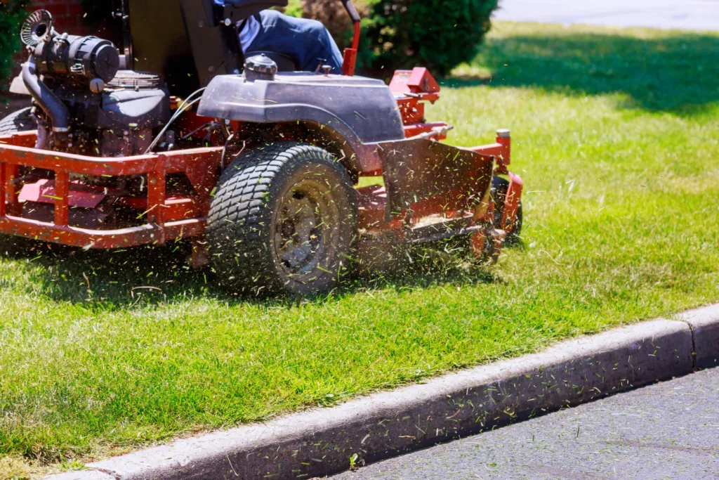 Lawn mower in action