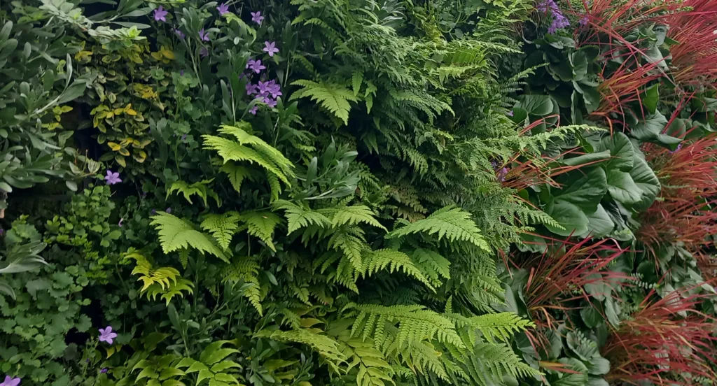 Green foliage and plants