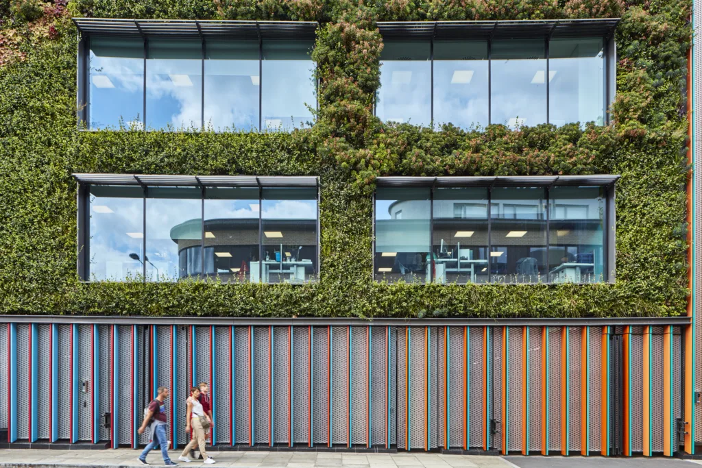 A living external green wall on an office