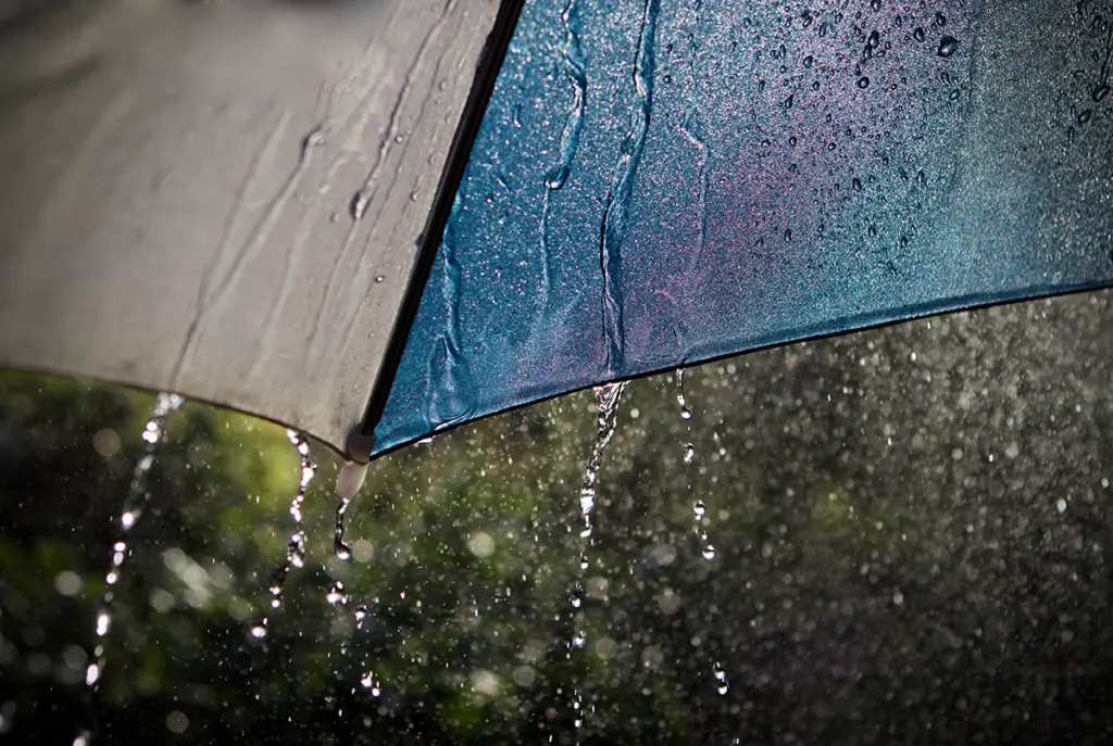 Rain on an umbrella