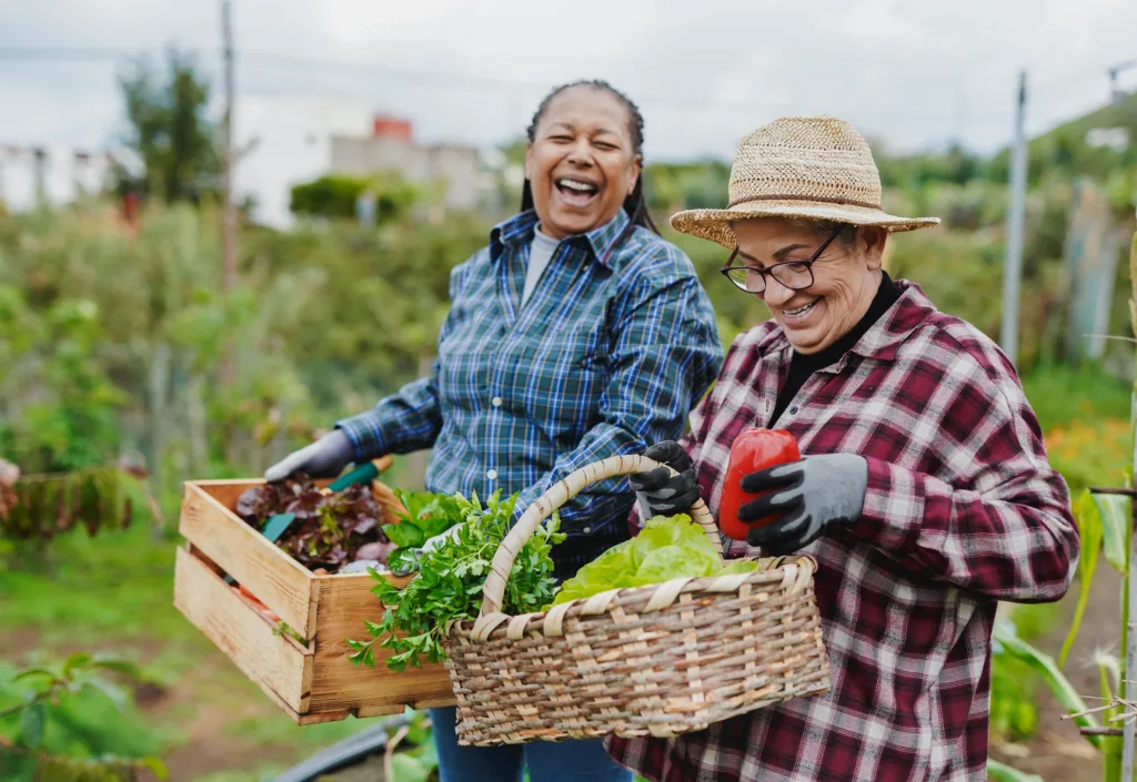 Two women laughing as they garden