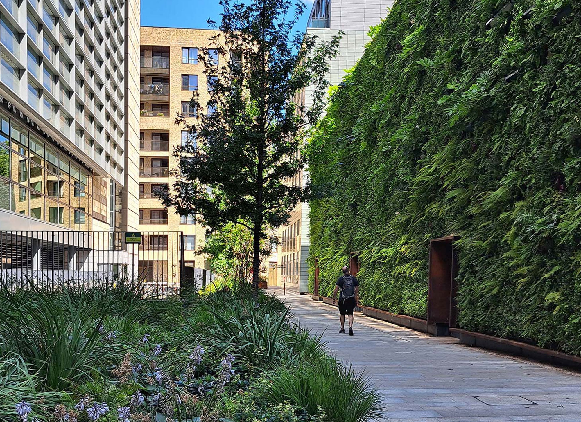 Example of a living wall.