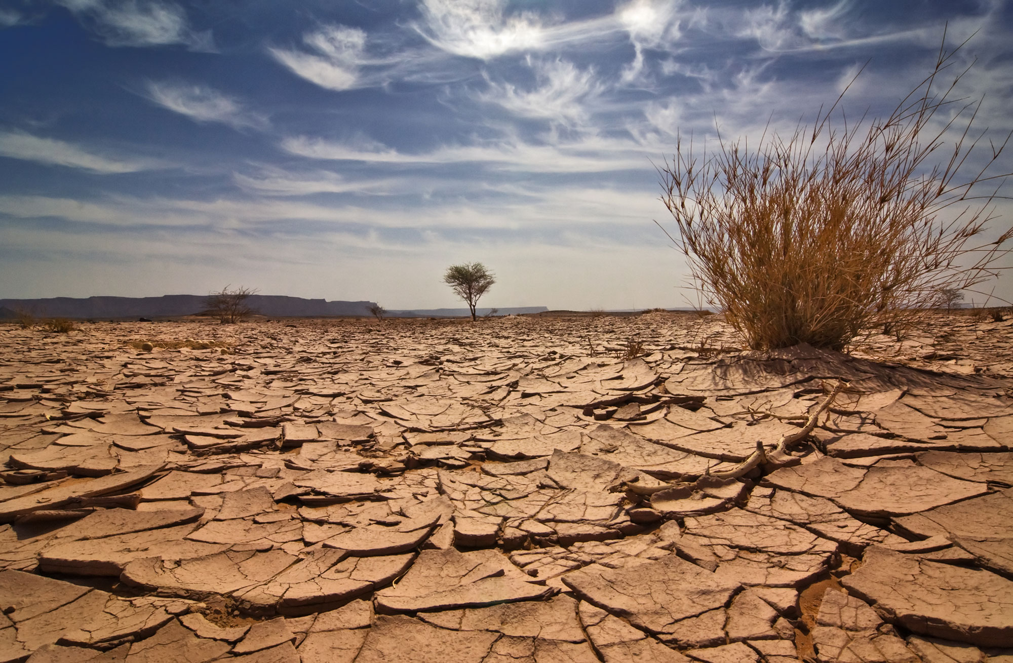 Dried desert.