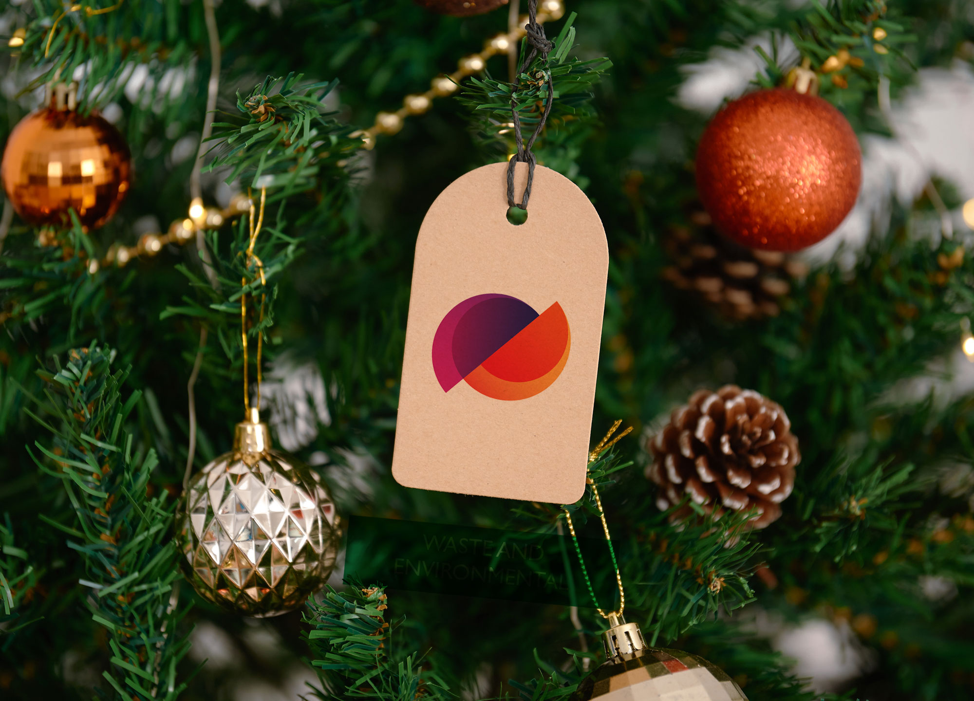 Christmas tree.