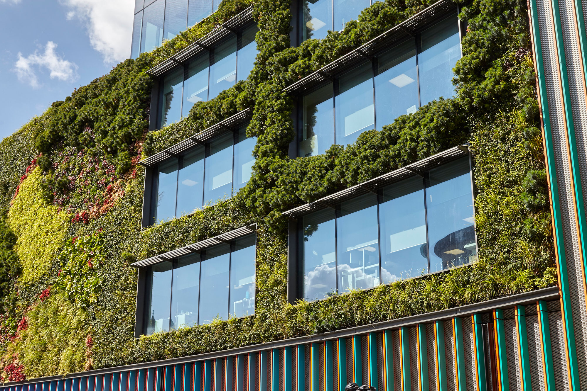 Example of a living wall.