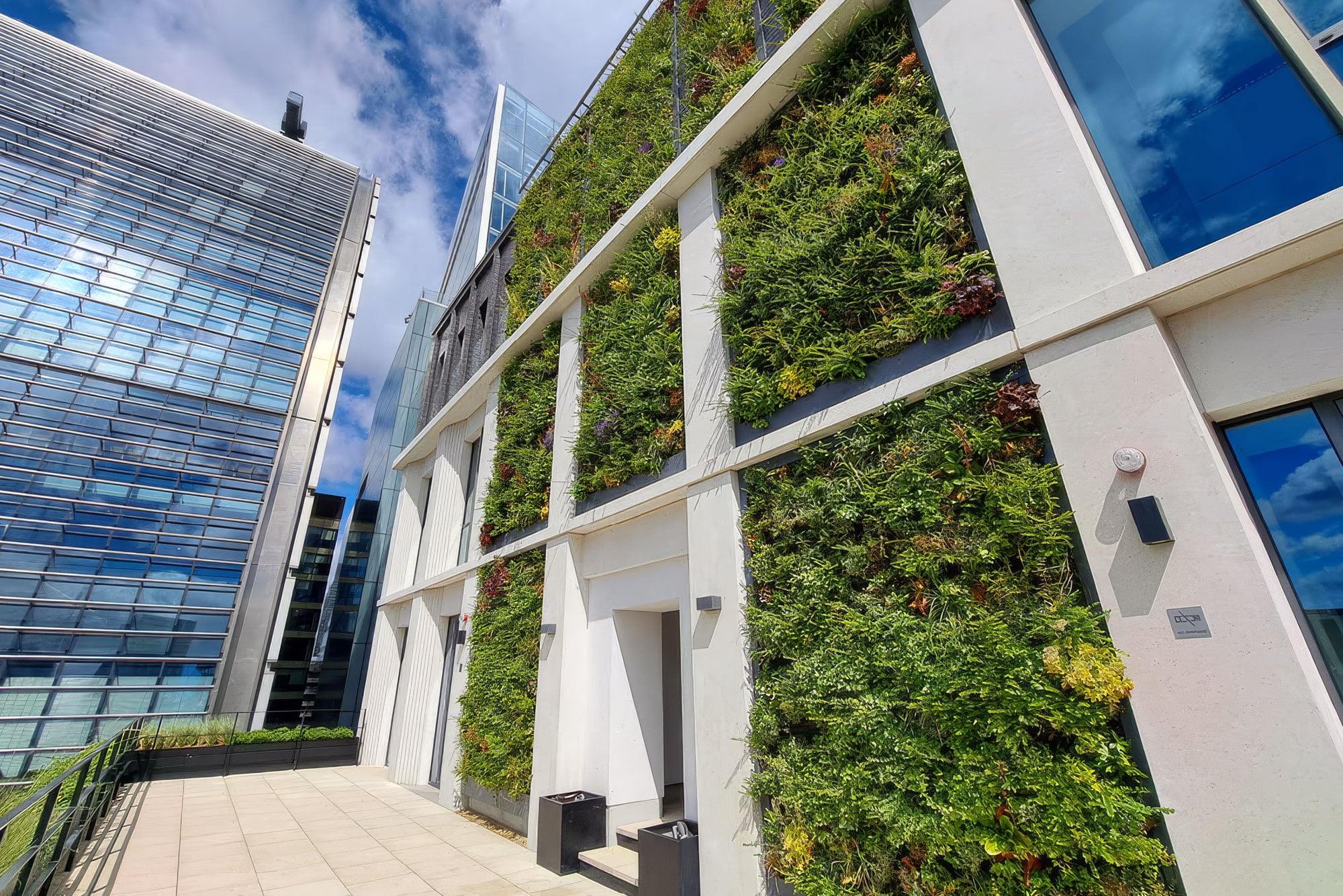 Example of a living wall.