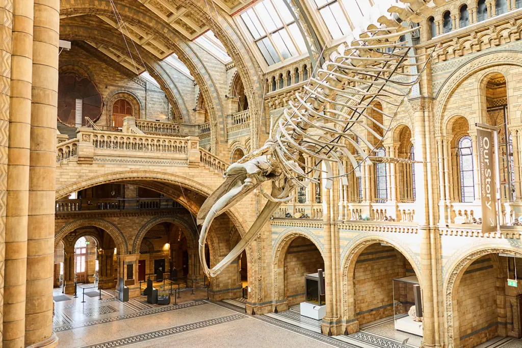 The entrance hall at London's Natural History Museum