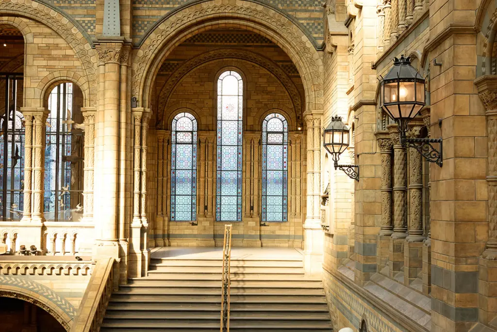 Stained glass window at London's Natural History Museum